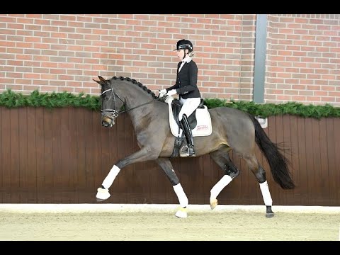 Maradona (Millennium/Fidertanz/Ferragamo)