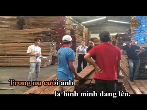 VIỆT ÂU MỸ - GIAI ĐIỆU TỰ HÀO - Một sáng tác riêng dành cho công ty của 1 nhạc sĩ tài hoa
