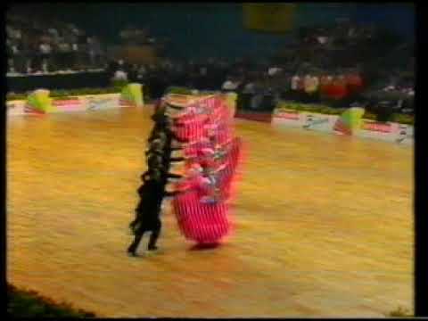 Deutsche Meisterschaft 1988 latein und standard formationen