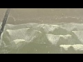 DJI PHANTOM 4 Surf In 4K