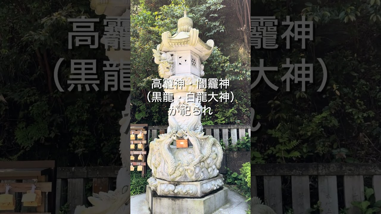 福井のパワースポット！黒龍の力を授かる【毛谷黒龍神社】  #福井旅行 #福井県 #パワースポット #黒龍 #神社 #japaneseshrine