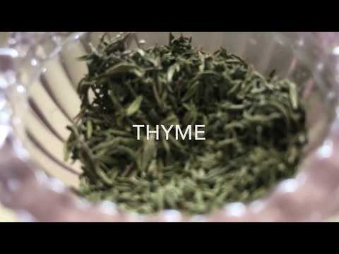 download lagu mp3 mp4 Saving Thyme, download lagu Saving Thyme gratis, unduh video klip Saving Thyme