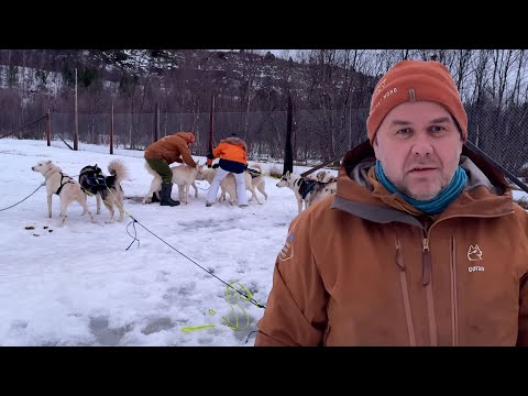 Preparing for a Dog Sled Expedition in Extreme Arctic Weather