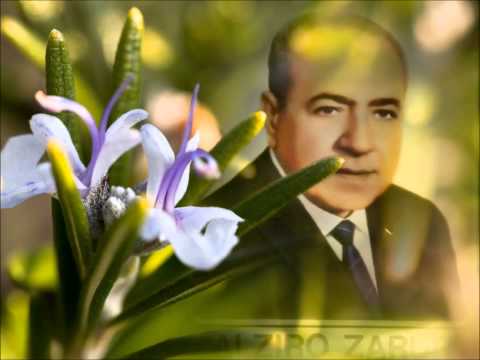 PAZ - Doutrina 8 - ALZIRO ZARUR