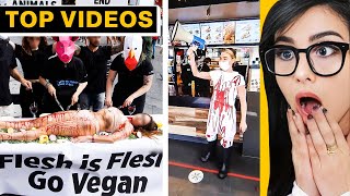 I Found Someone Worse Than Vegan Teacher | SSSniperWolf