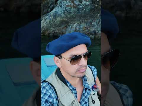 La provincia de mis desvelos 💚 #patagoniaargentina #fishing #neuquen #flyfishing