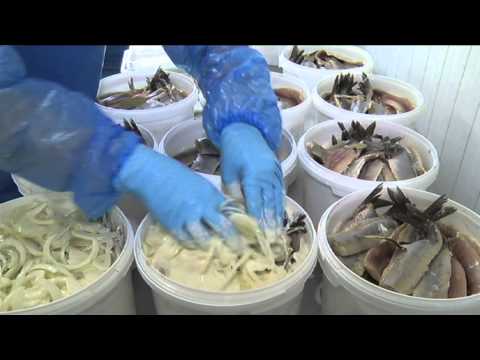 Ouvrons les terroirs - Est Friture & le hareng - 6 octobre 2011