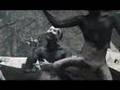 Sopor Aeternus - Dead Souls 