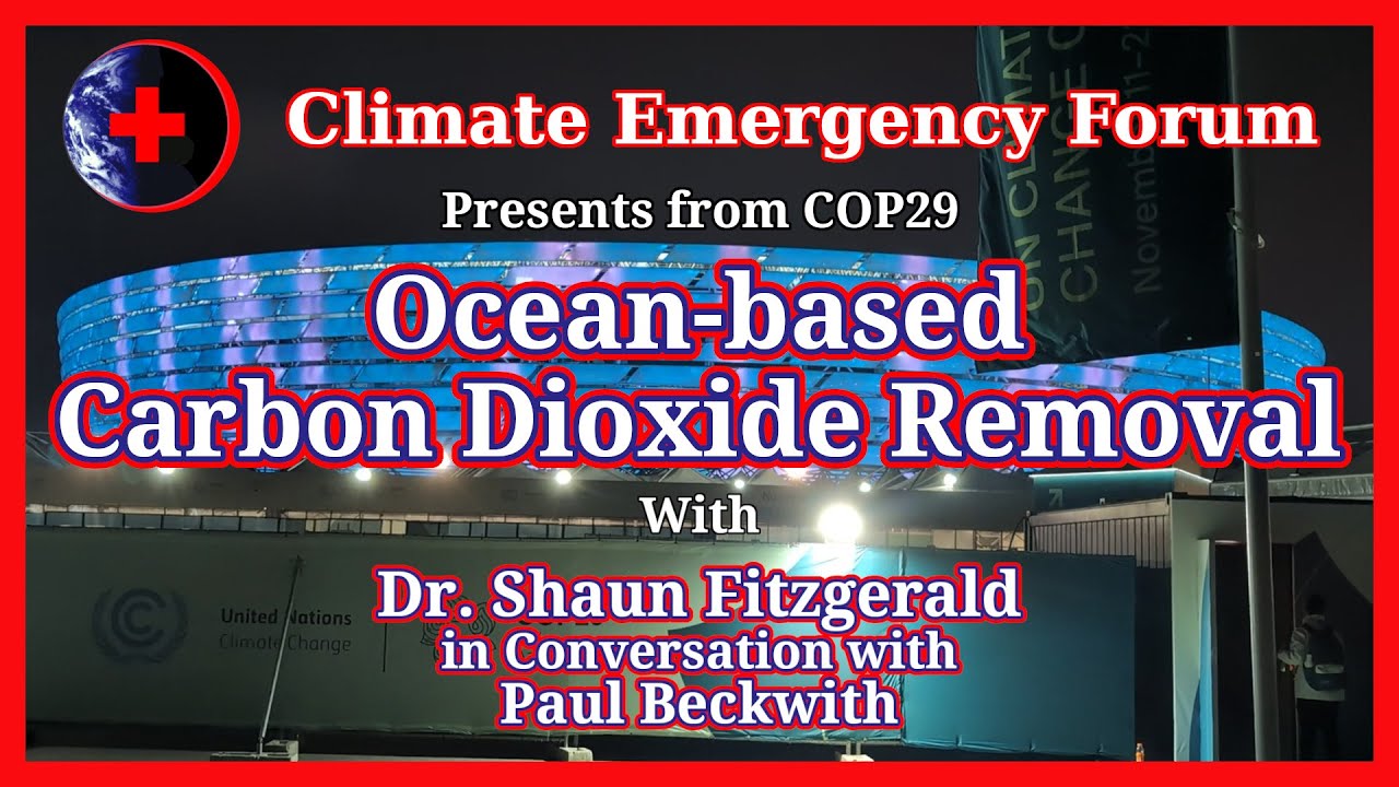 Ocean-based Carbon Dioxide Removal