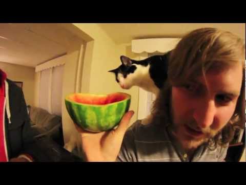 World Class Art Thieves - Watermelon (Official Video)