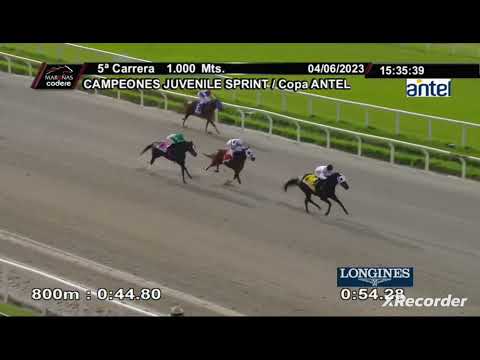 TERRIBLE CHUCHO - Campeones JUVENILE SPRINT