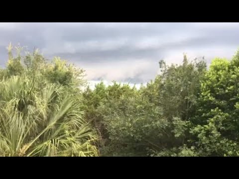 High winds during Wednesday storm