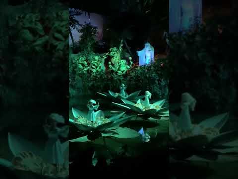 Indische Waterlelies - Efteling