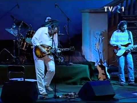 AG Weinberger Band - Damn Right I've Got The Blues