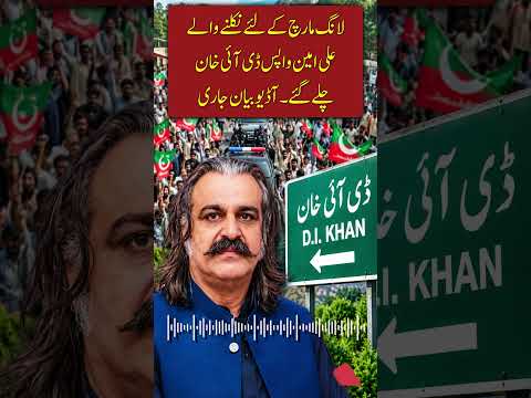 لانگ مارچ کے آغاز کے بعد علی امین ڈی آئی خان واپس پہنچ گئے، آڈیو بیان جاری