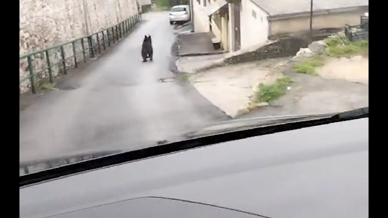 Video cover