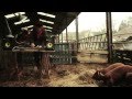 Cosmo Sheldrake - Rich (Ft. Anndreyah Vargas ...