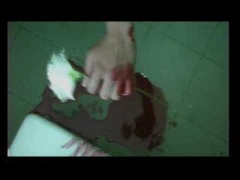 Sangre de Renan Aparicio