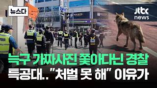 드론 배터리 갈다 놓친 늑구..'영영 못 찾을 수도' 굶어 죽을 위기 #뉴스다 / JTBC News