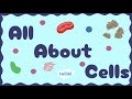 All About Animal Cells for Kids | Middle School Science | Twinkl USA