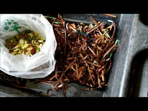 A Vermi Farm with UWB