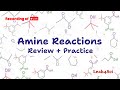 Amine Reactions And Practice Live Recording Organic Chemistry Review