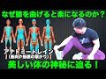 「柔軟体操で足を曲げたら楽」には理由があります！　体の神秘をご紹介！