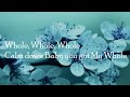 Calvin mbanda - Joliki (official video lyrics )