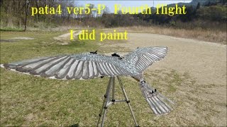 Pata4 ver5 P fourth flight :  I painted it : Good flight