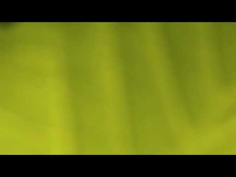 DCC REPORTING ON GROUND ZERO ARUNI