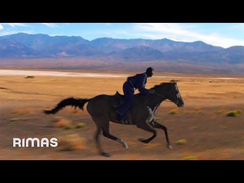 Miniatura de CYBERTRUCK