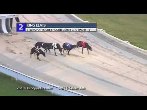 2018 STAR SPORTS DERBY - ROUND 3 HEAT 5 - T2 KING ELVIS