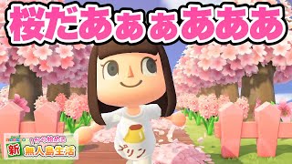 【あつ森】今年も桜が咲きました2026【あつまれどうぶつの森】#97