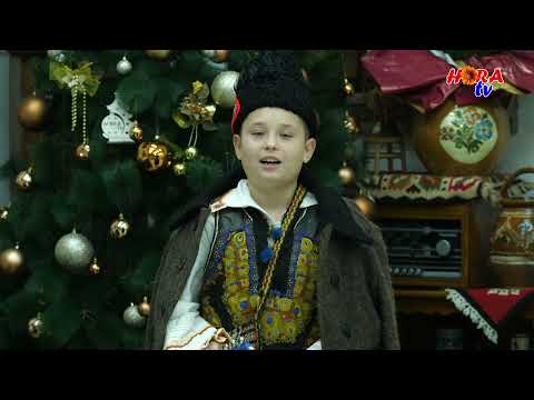 STEFAN VEJA -  Ingerul lui Domnu Sfant