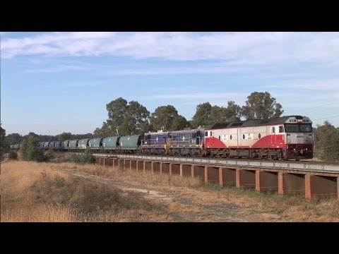 El Zorro Grain at Glenorchy.  Sat 21/04/12