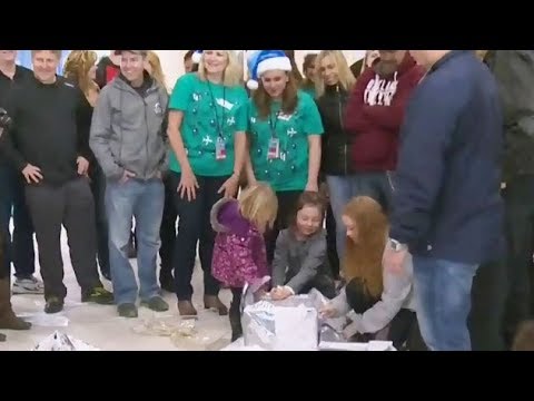Surprise for WestJet passengers at Edmonton airport