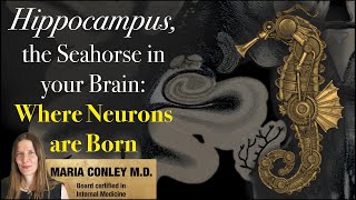 Hippocampus, the Seahorse in your Brain:  Where Neurons are Born