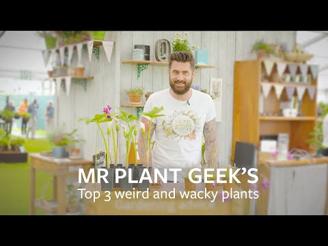 Mr Plant Geek's top 3 weird & wacky plants | Grow at Home | RHS