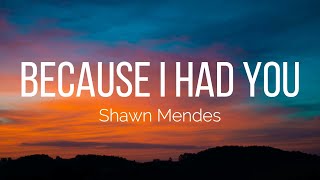 Shawn Mendes - Because I Had You (Lyrics)