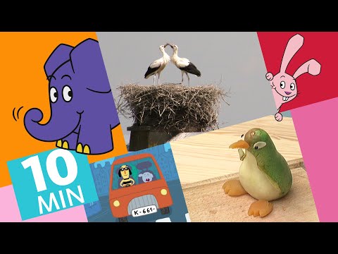 Hallo Elefant - Birnenpinguin mit Fußball-Kirsche & Wie brüten Störche? | Der Elefant | WDR