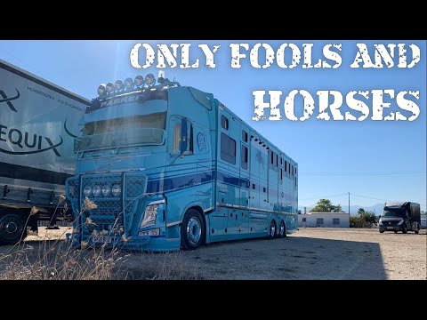 ONLY FOOLS AND HORSES - Gary's off to Spain with John Parker International transporting some horses!