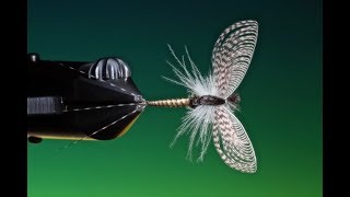 Tying a mayfly spinner with Barry Ord Clarke