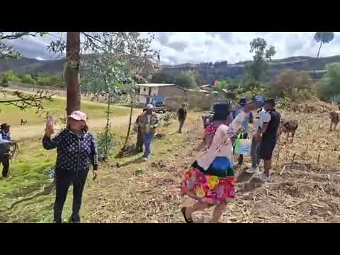SANTIAGO P4 HERRANZA FAM: LAURA TITO POMACOCHA -ACOBAMBA-HUANCAVELICA 