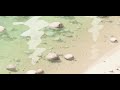 MAGIC Lay You Down Easy Ft Sean Paul Slowed Reverb