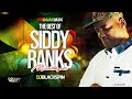 THE BEST OF SIDDY RANKS Reggae MIXTAPE DJ BLACKSPIN THE SPIN GENIUS