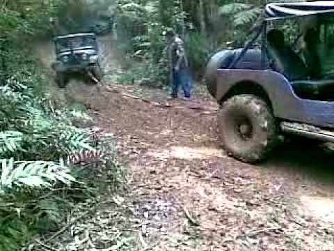 Trilha GAMBA02.10.11