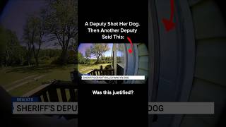 GPS Pet Trackers: Real-Time Location Monitors and Collars
