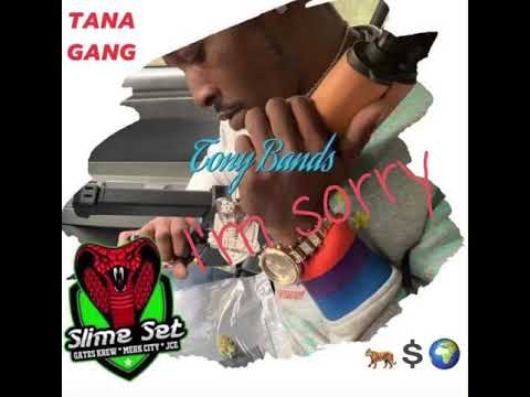 TONY BAND$ - I’m Sorry (EXCLUSIVE!!!)