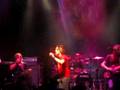 TNT-Black Butterfly