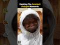 Ranking Funniest Holygxd Moments